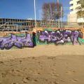 190130_Mallorca_074