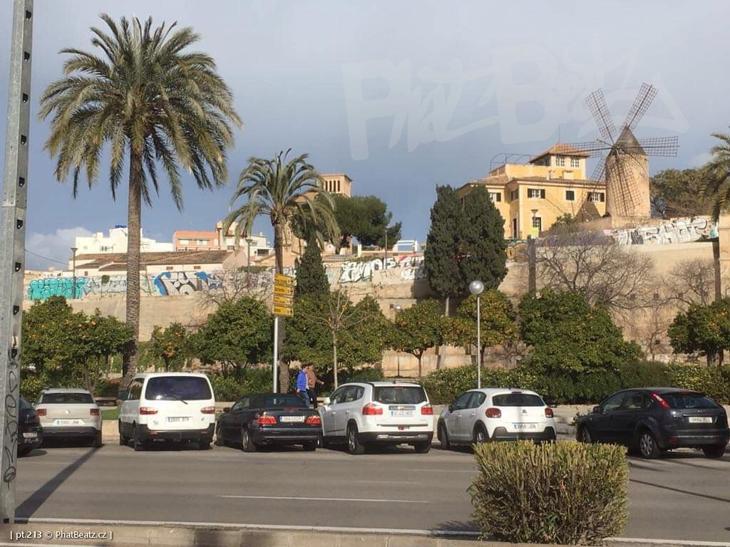190130_Mallorca_080