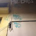 190130_Mallorca_130