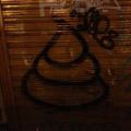 190130_Mallorca_132