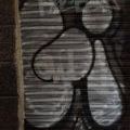 190130_Mallorca_137