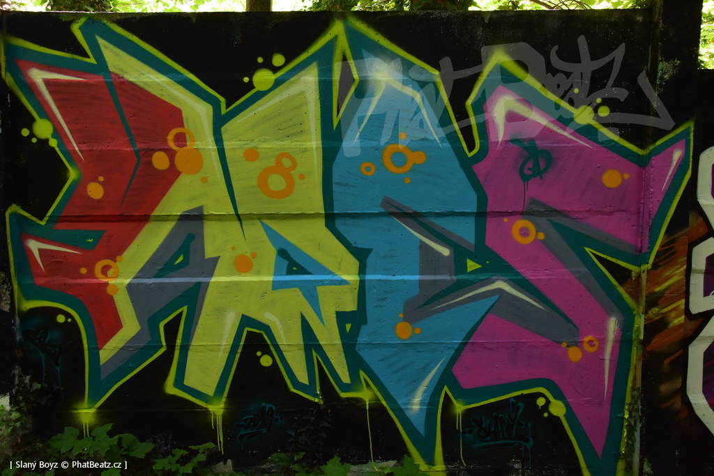 190608_Slany_06