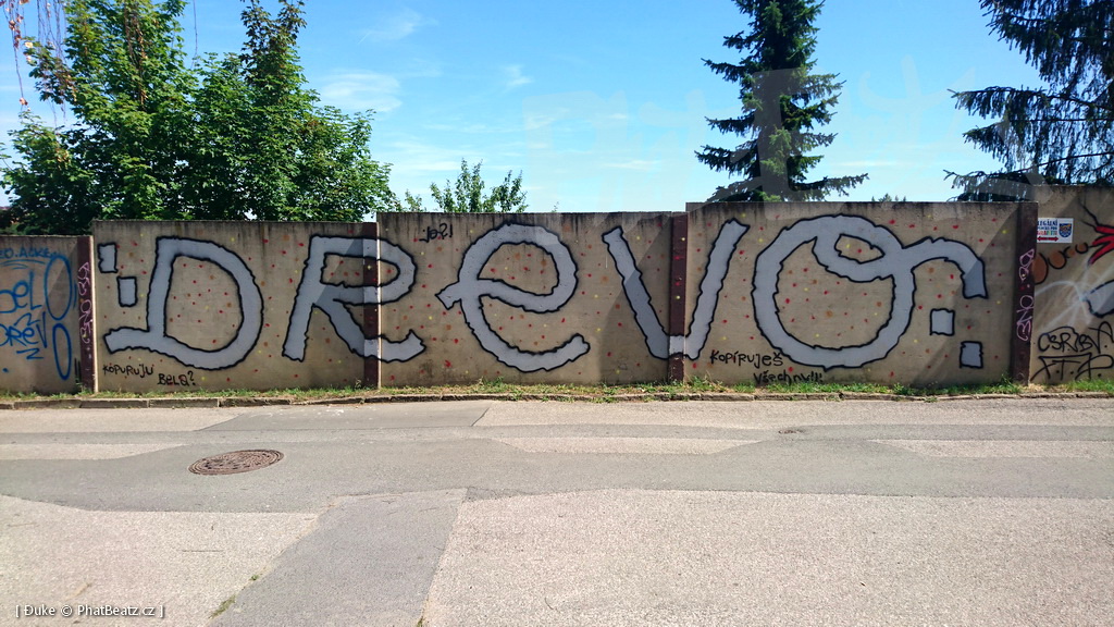 190725_Reporyje_04