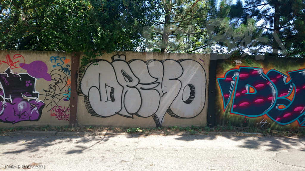 190725_Reporyje_15