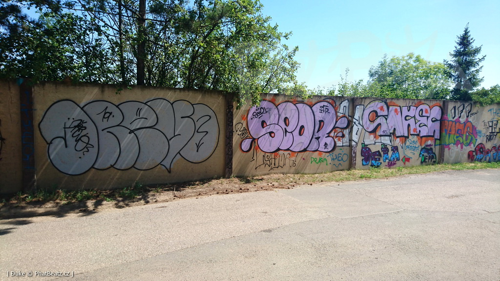 190725_Reporyje_19