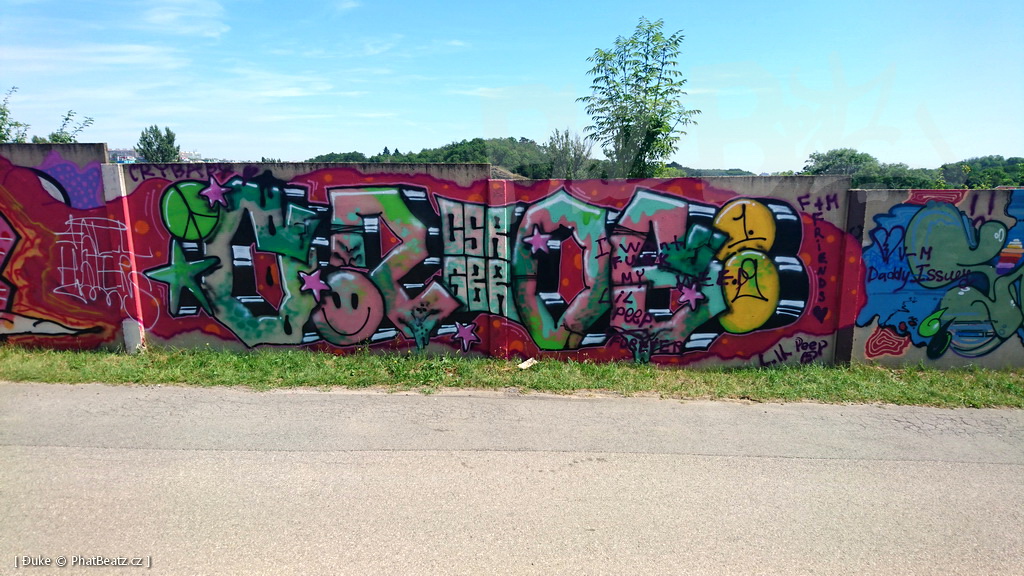 190725_Reporyje_27
