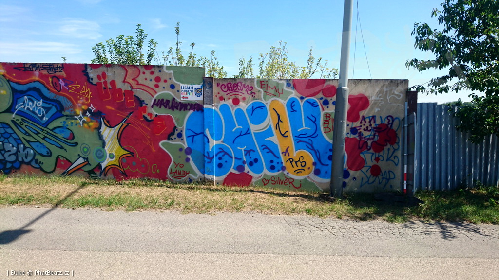 190725_Reporyje_29