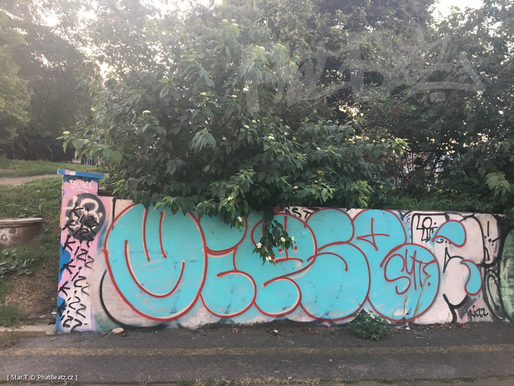 190831_Tesnov_02