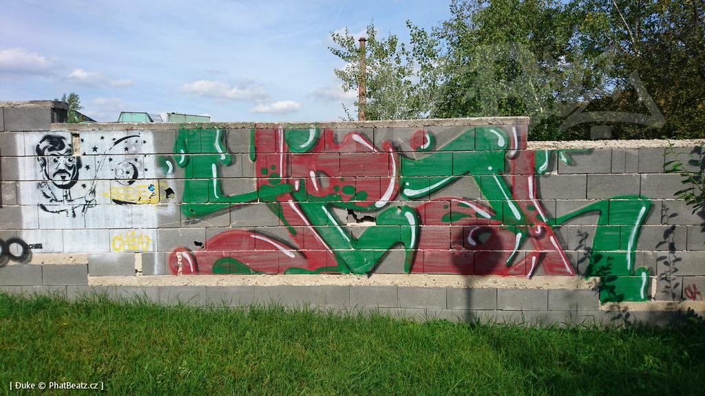 190915_Celakovice_31