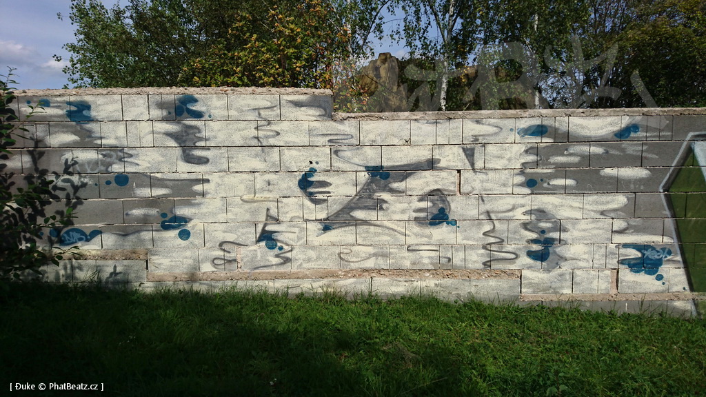 190915_Celakovice_32