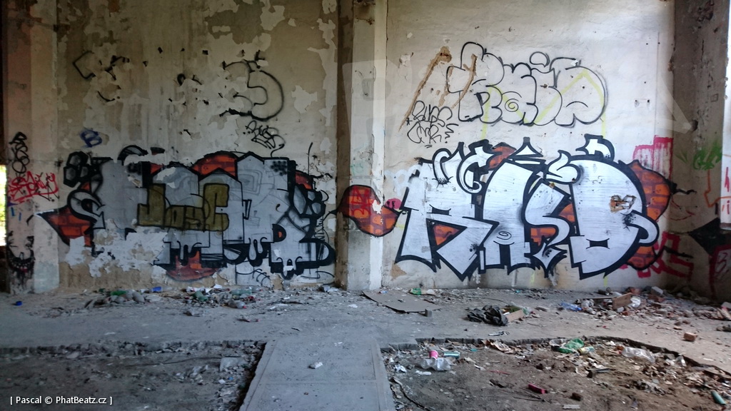 190928_CKD_16