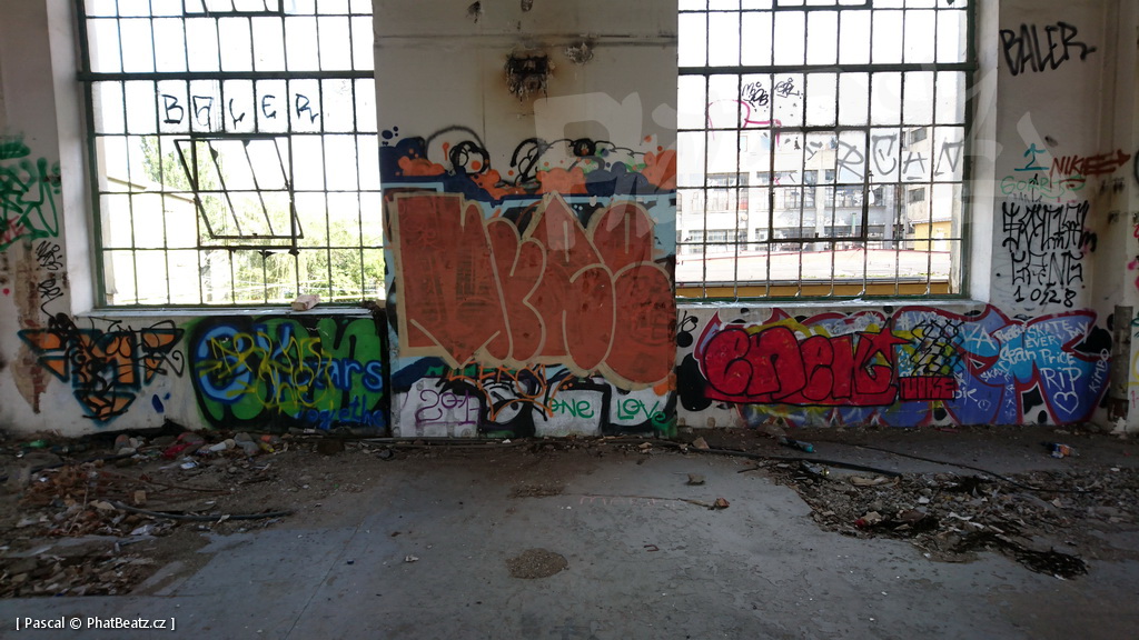 190928_CKD_20