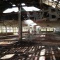 190928_CKD_31