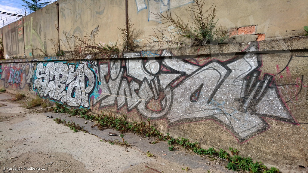 190928_CKD_43