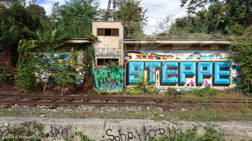 190928_CKD_44