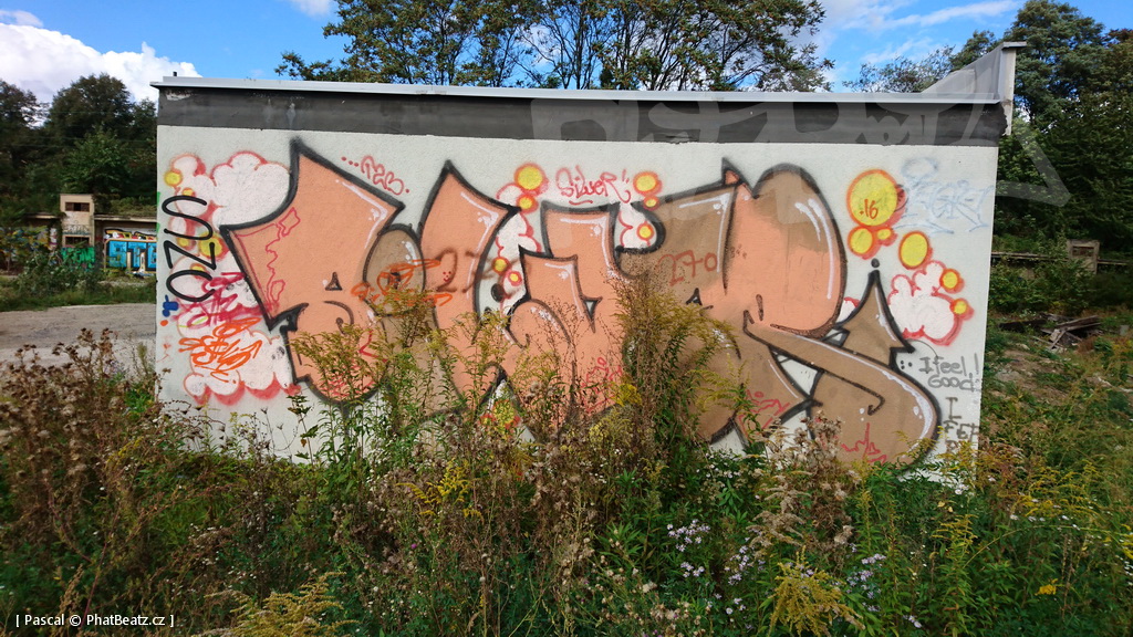 190928_CKD_47