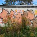 190928_CKD_47