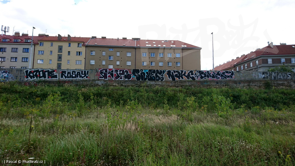 190928_CKD_51