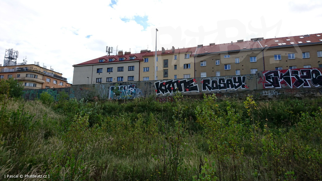 190928_CKD_52