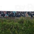 190928_CKD_54