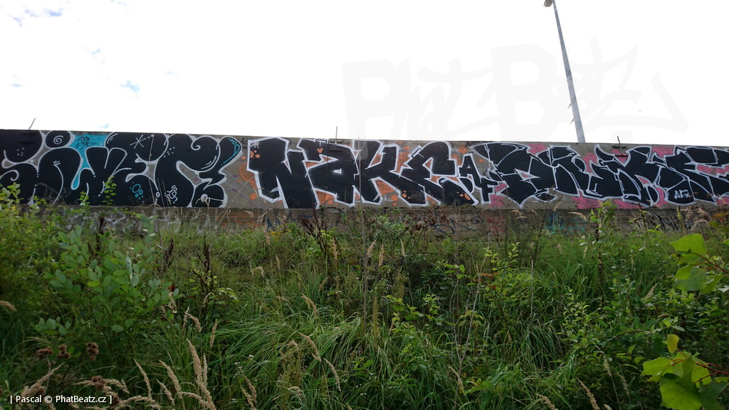 190928_CKD_55