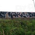 190928_CKD_55