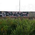190928_CKD_56