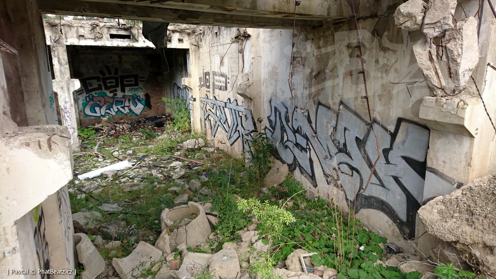 190928_CKD_58