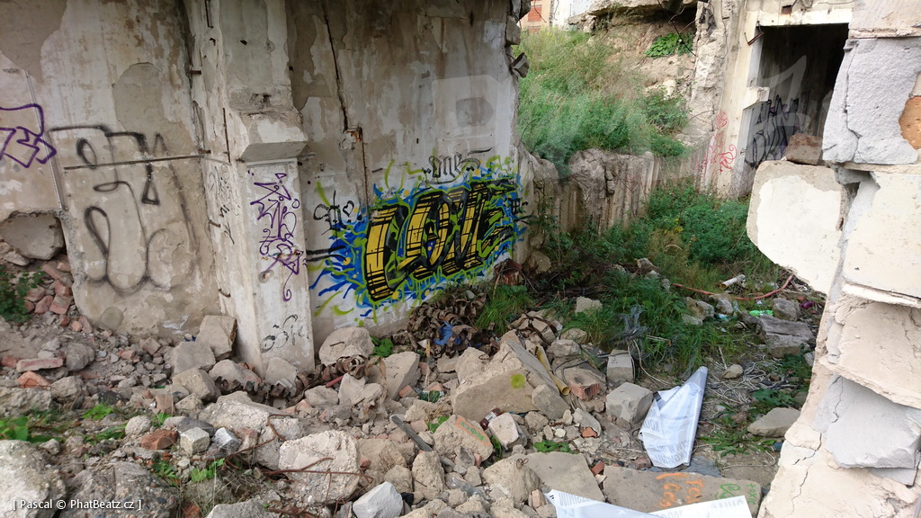 190928_CKD_59