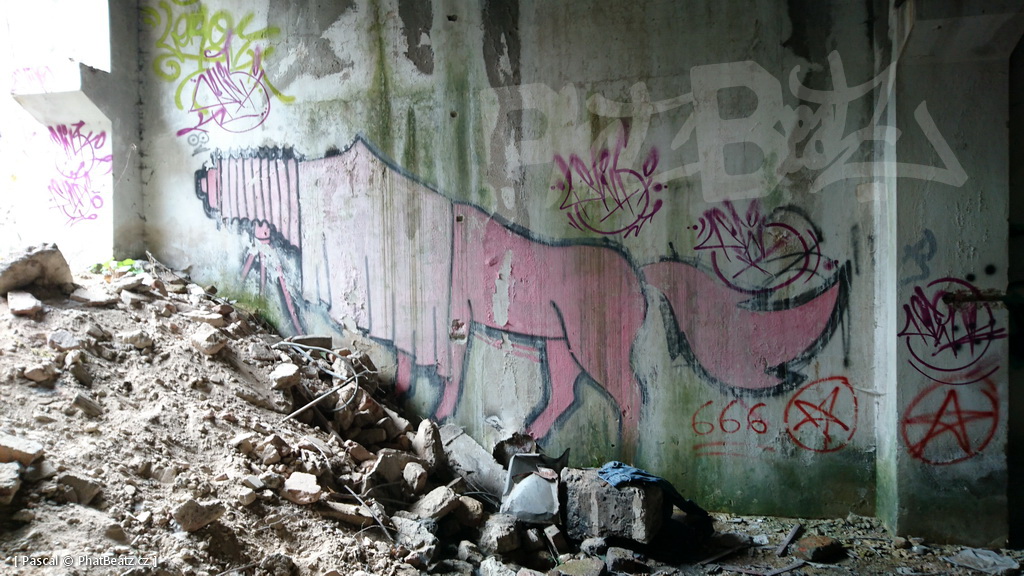 190928_CKD_63