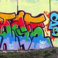 19no2gjam