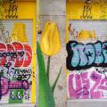 200403_Madrid_17