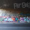 200920_Sulicka_01