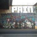 200920_Sulicka_04