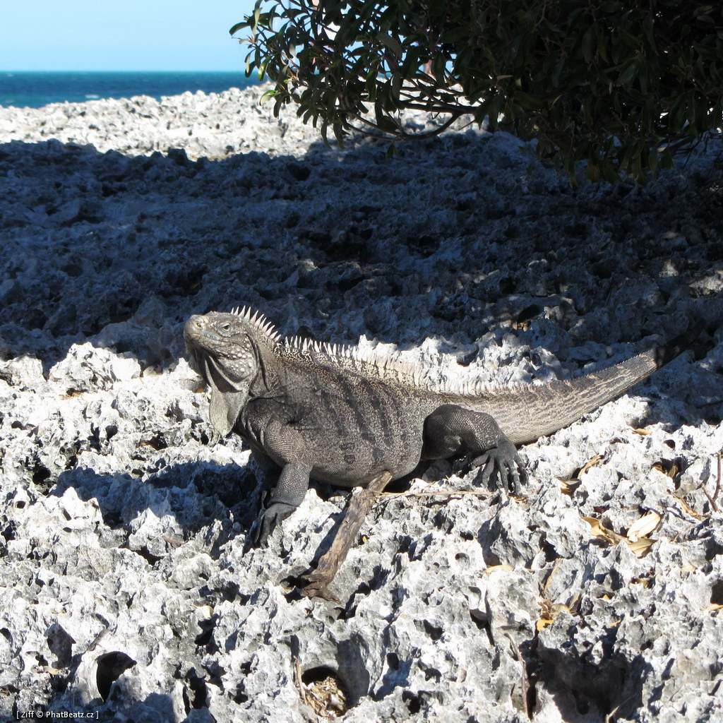 201211_CUBA_116