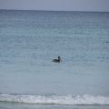 201211_CUBA_184