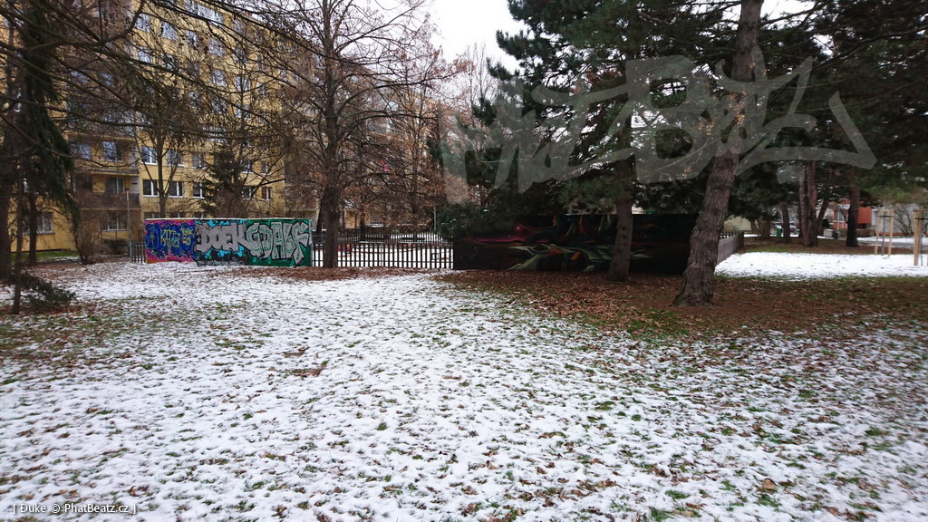 210113_Prosek_11