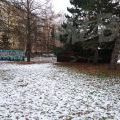 210113_Prosek_11