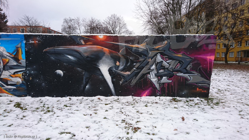 210113_Prosek_17