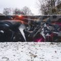210113_Prosek_17