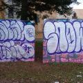 210113_Prosek_45