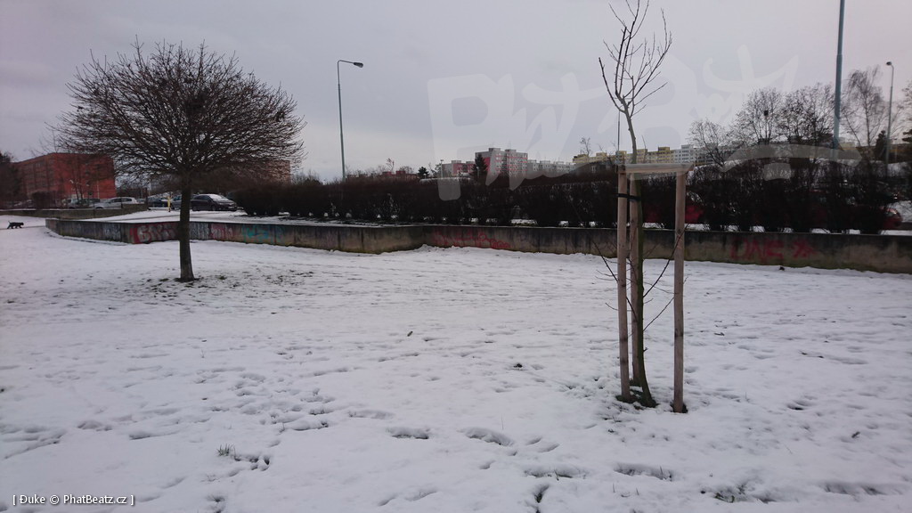 210119_Praha11_16