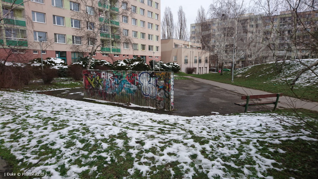 210119_Praha11_28