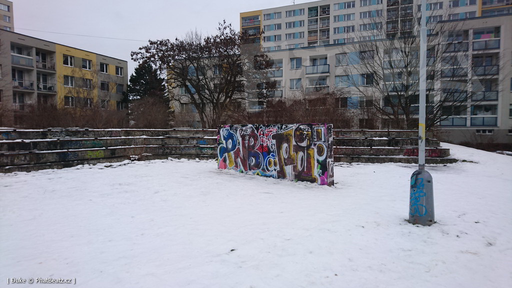 210119_Praha11_31
