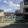 210208_Medellin_06