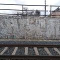 210315_Palmovka_062