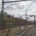 210315_Palmovka_071