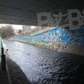 210315_Palmovka_130