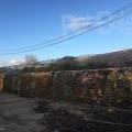210414_SofiePerlovska_120
