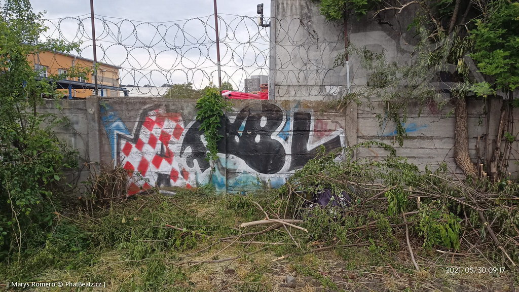 210529_Pantograff15_02